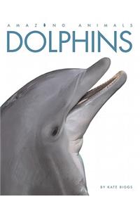 Dolphins