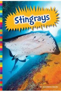 Stingrays