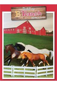 Horses on B Ranch