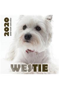Westie 2020 Mini Wall Calendar