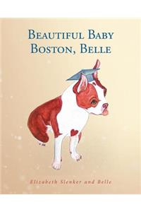 Beautiful Baby Boston, Belle