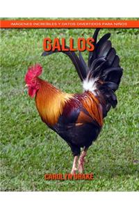 Gallos