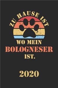 Bologneser 2020