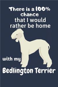 There is a 100% chance that I would rather be home with my Bedlington Terrier