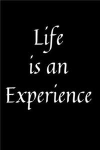Life is an Experience