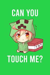 Can You Touch Me ?