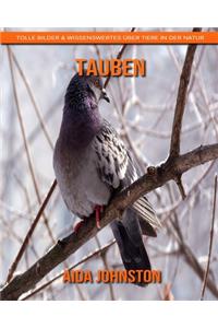 Tauben