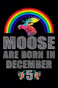 Moose Are Born In December 5