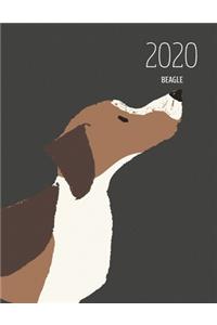 2020 Beagle