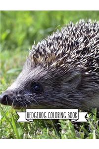 Hedgehog Coloring Book