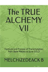 The TRUE ALCHEMY VII