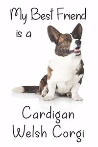 My best Friend is a Cardigan Welsh Corgi