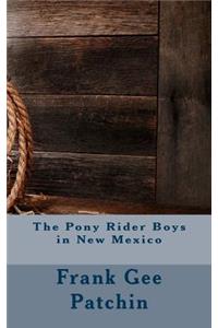 The Pony Rider Boys in New Mexico