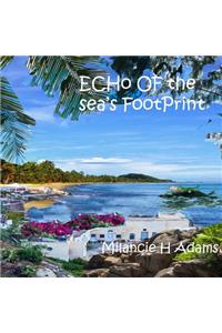 Echo of Sea's Footprint