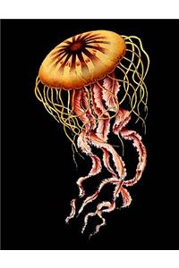 Jellyfish Sketchbook