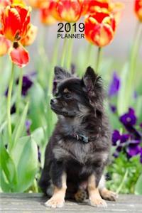 Chihuahua Planner 2019