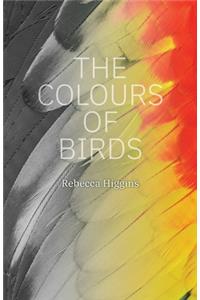 Colours of Birds