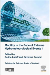 Mobility in the Face of Extreme Hydrometeorological Events 1