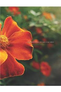 Marigold Calendula Flower Plant Tagetes Orange Notebook