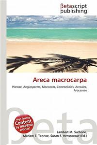 Areca Macrocarpa