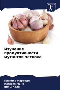 Изучение продуктивности мутантов чесно
