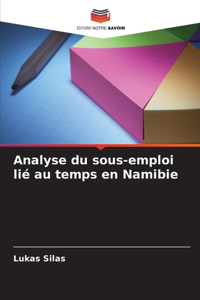 Analyse du sous-emploi lié au temps en Namibie