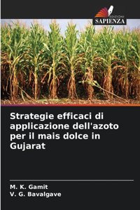 Strategie efficaci di applicazione dell'azoto per il mais dolce in Gujarat