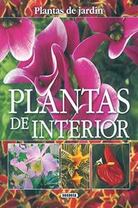 Plantas de interior, plantas de jardï¿½n