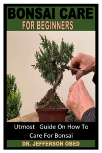 Bonsai Care for Beginners