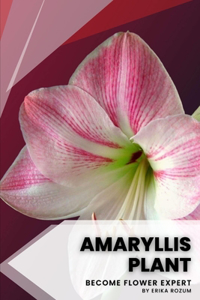 Amaryllis Plant