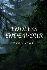 Endless Endeavour