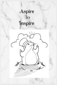 Aspire To Inspire