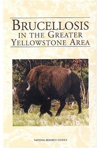 Brucellosis in the Greater Yellowstone Area