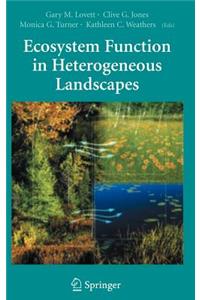 Ecosystem Function in Heterogeneous Landscapes