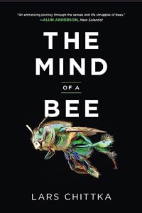 Mind of a Bee