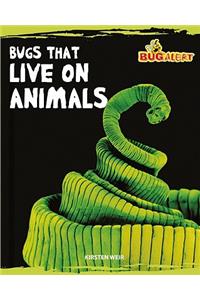 Bugs That Live on Animals