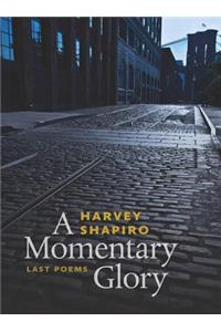 Momentary Glory