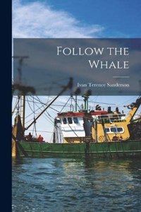 Follow the Whale