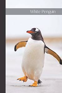 White Penguin