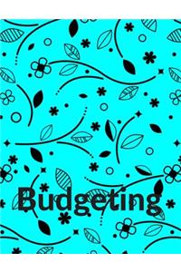 Budgeting