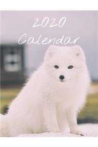 2020 Calendar