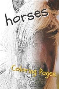 Horses Coloring Sheets