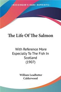 The Life Of The Salmon