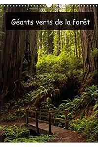 Geants Verts De La Foret 2017