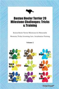 Boston Heeler Terrier 20 Milestone Challenges