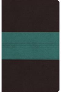 ESV Large Print Personal Size Bible