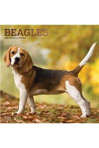 Beagles 2019 Square Foil