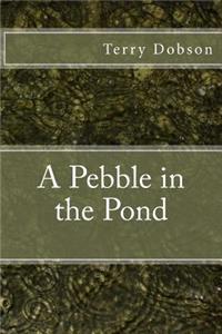 Pebble in the Pond