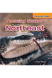 Amazing Snakes of the Northeast