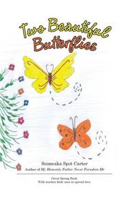 Two Beautiful Butterflies